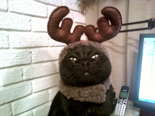 sebastianrudolph.jpg