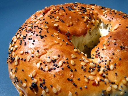 bagel-everyday.jpg