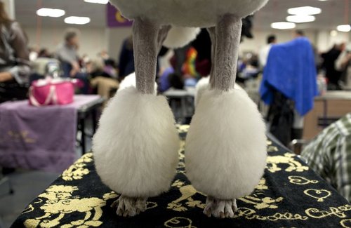 puffs.jpg