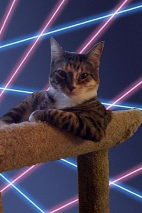 glamour-puss.jpg