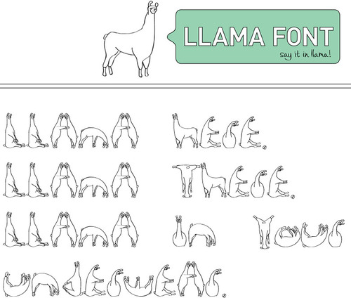 llama.jpg