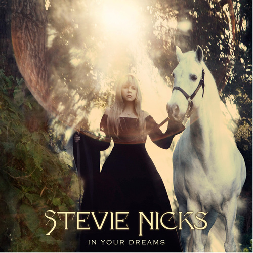 steve nicks IN YOUR DREAMS cover.jpeg