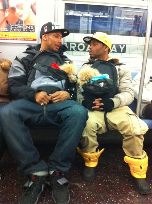 dogs-backpacks-subway-nyc.png