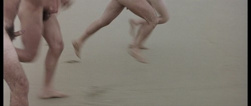 el2.jpg