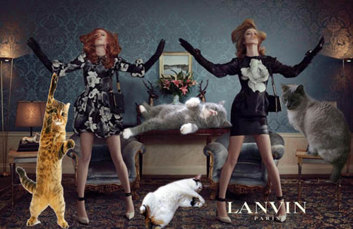 lanvin.jpg
