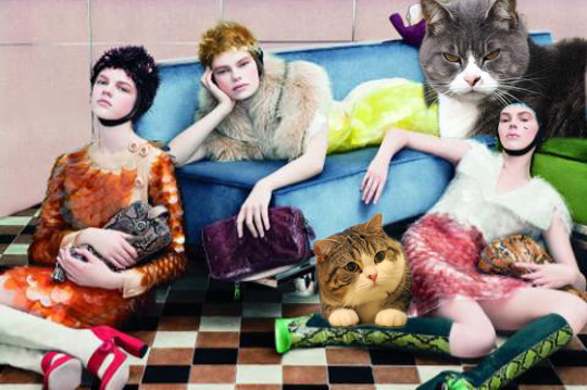prada.jpg