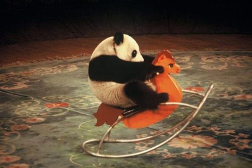 panda-and-rocking-horse.jpg