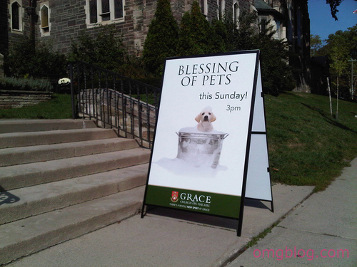 pet-blessings.jpg