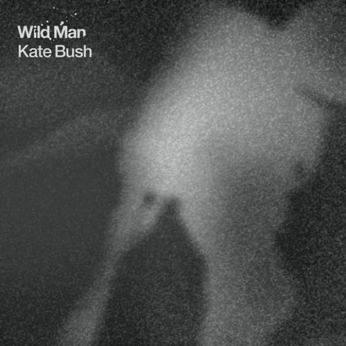 Wildman.jpg