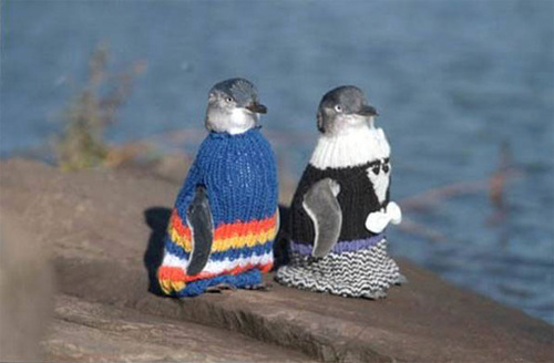 penguin-sweaters-01.jpg