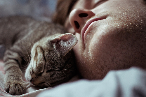tumblr_lsh64bwz011qmf9gqo1_500.jpg