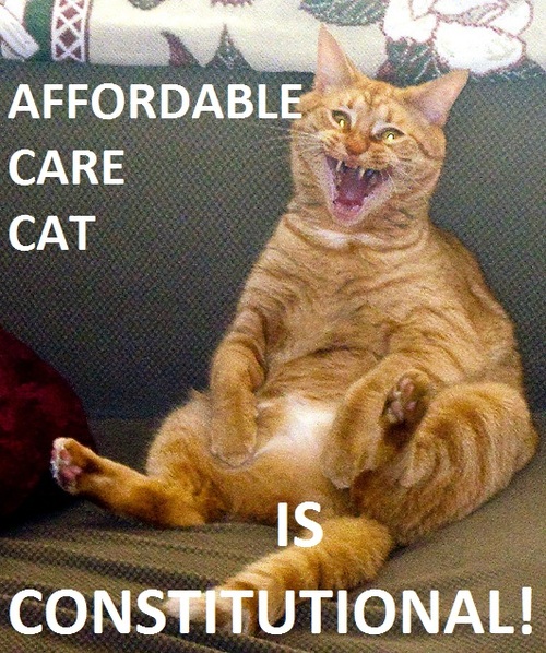 tumblr_m6c19jbUCR1ry69bho1_500.jpg