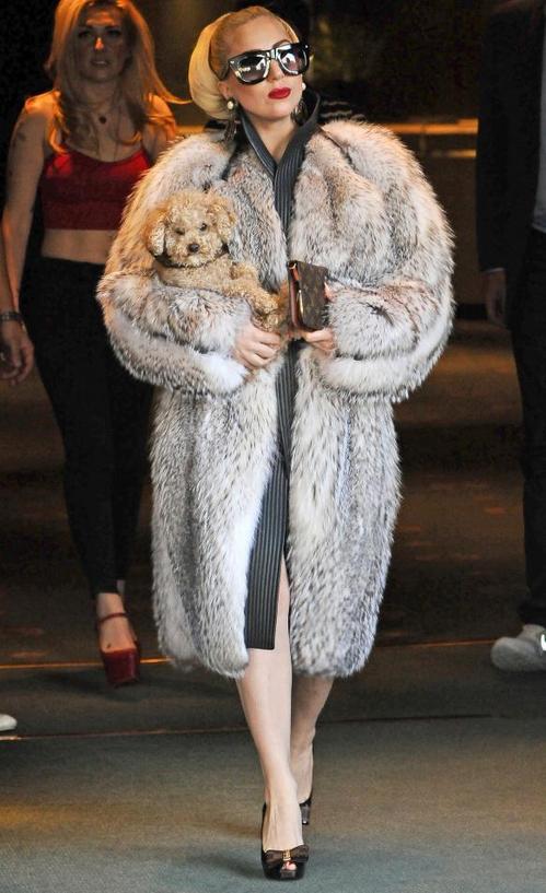 lady-gaga-fur_582x951.jpg