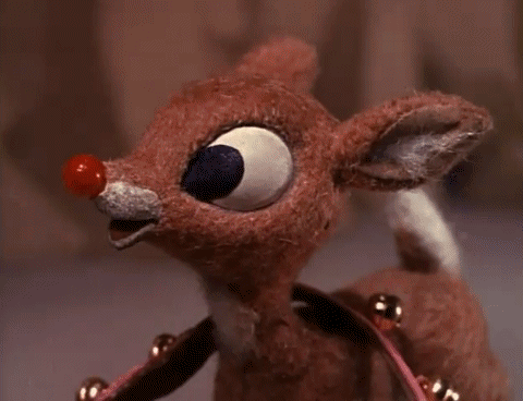 tumblr_lw1zbqECjJ1r53lseo1_500.gif