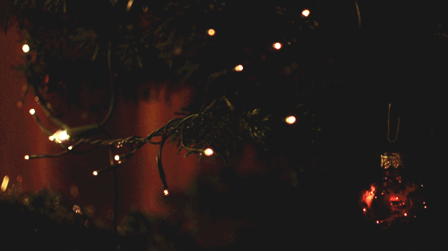 tumblr_medappNiH11qgvmmyo1_500.gif