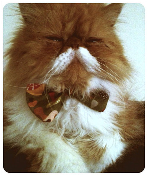 business-catual.jpg