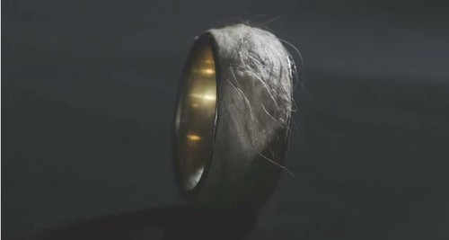 341747.jpg