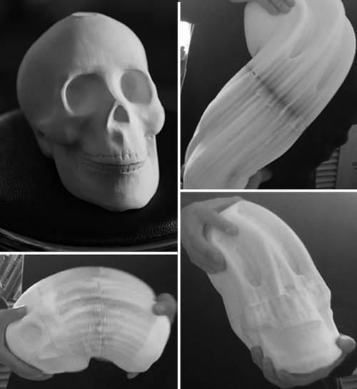 DMG_LH_Skull_WEB.jpg