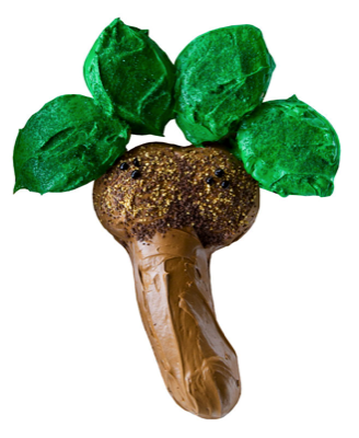 palm_image_1290.png