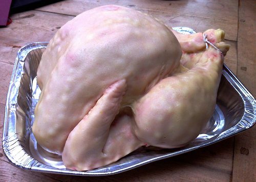turkeycake_tumblr_mg3whdtHKm1r13l3bo1_500.jpg