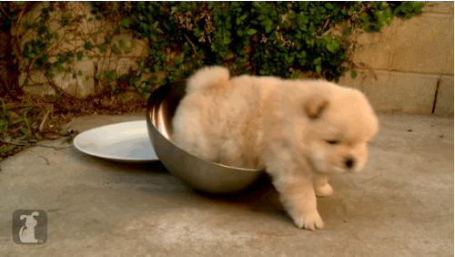 anigif_enhanced-buzz-30256-1366126875-11.gif