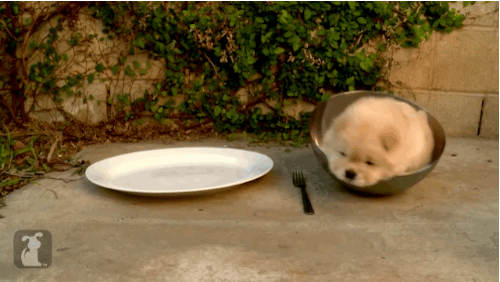 anigif_enhanced-buzz-30256-1366126882-13.gif