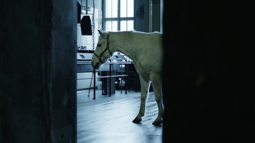 Berghain_After-Hours_01.jpg