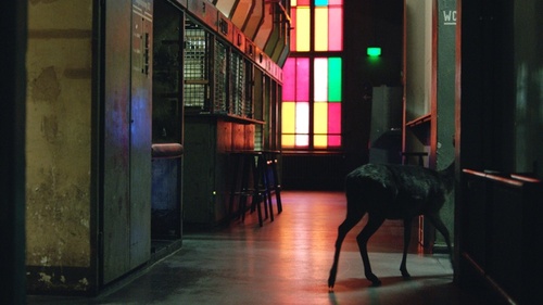 __Berghain_After-Hours_02.jpg