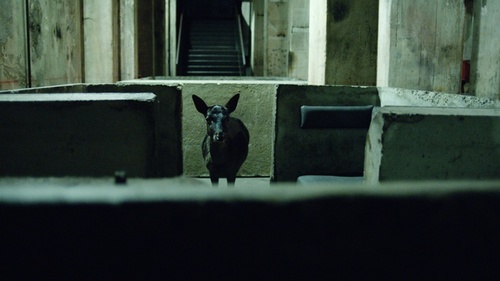 ____Berghain_After-Hours_03.jpg