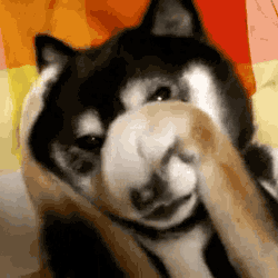 anigif_enhanced-buzz-19173-1363805729-16.gif