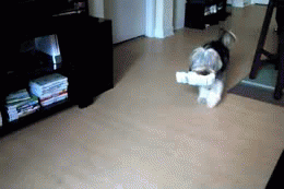 anigif_enhanced-buzz-23997-1363804046-7.gif