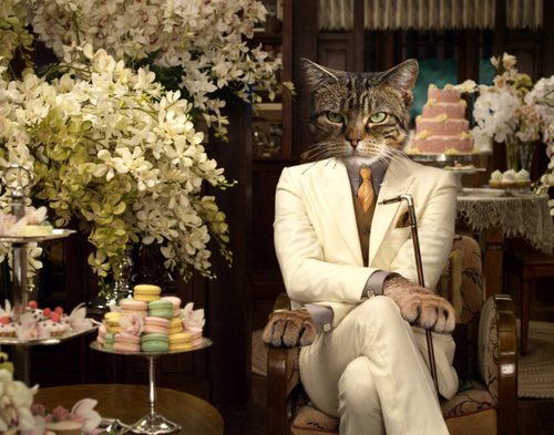 catsby-25018-1utyf368281106-2.jpg