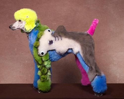 Crazy-Dog-Grooming-Compet-001.jpg