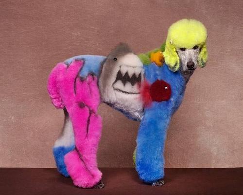 Crazy-Dog-Grooming-Compet-004.jpg