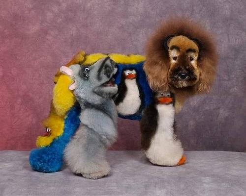 Crazy-Dog-Grooming-Compet-008.jpg