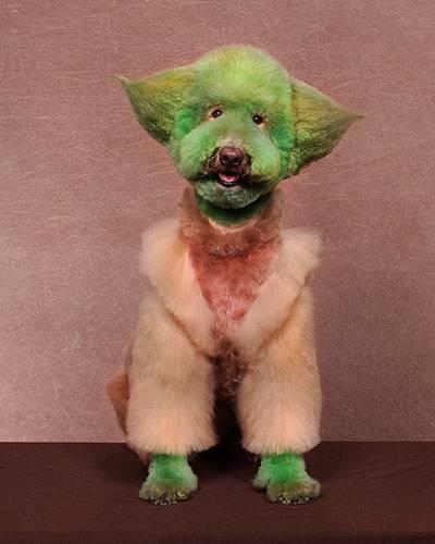 Crazy-Dog-Grooming-Compet-011.jpg