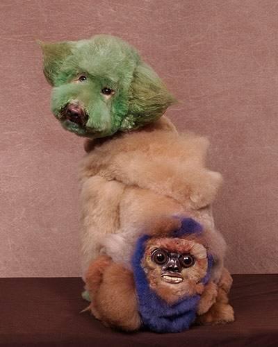 Crazy-Dog-Grooming-Compet-016.jpg
