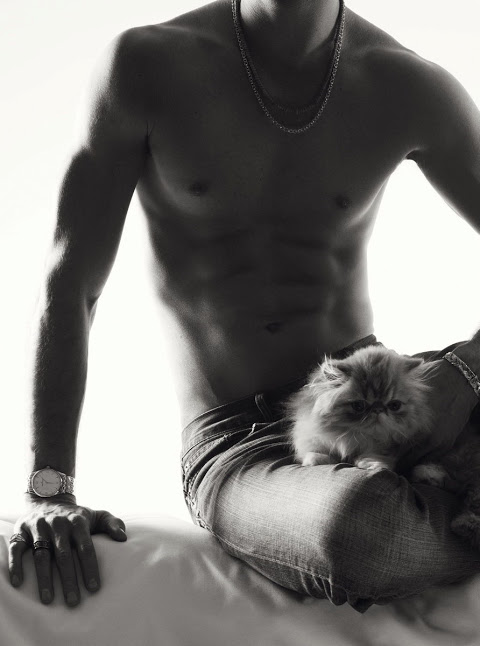 MAT-HOMOTOGRAPHY-PAWS-1.jpg