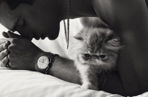 MAT-HOMOTOGRAPHY-PAWS-2.jpg
