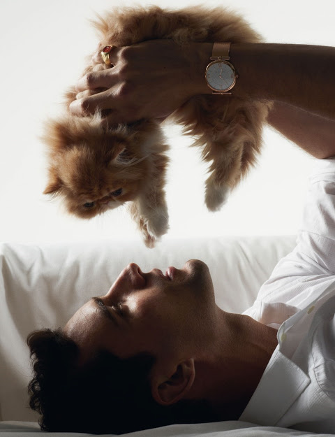 MAT-HOMOTOGRAPHY-PAWS-3.jpg