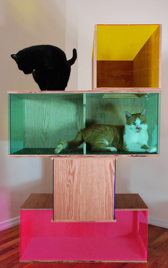 sam-roeck-contemporyartsculptureforcats.jpg