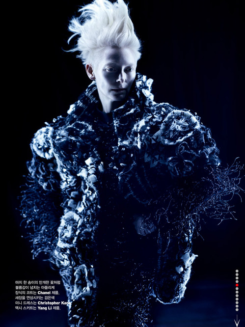 Tilda Swinton W Magazine Korea 2013-004.jpg
