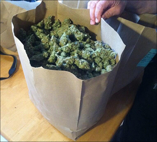 Washington+County+Marijuana+bust.jpg