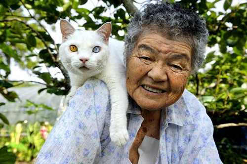 grandma-odd-cat-01.jpg