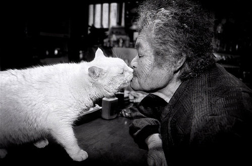 grandma-odd-cat-03.jpg