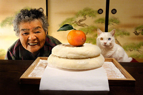 grandma-odd-cat-05.jpg