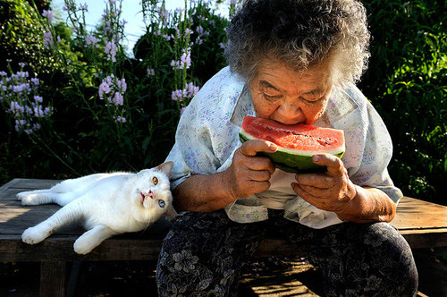 grandma-odd-cat-06.jpg