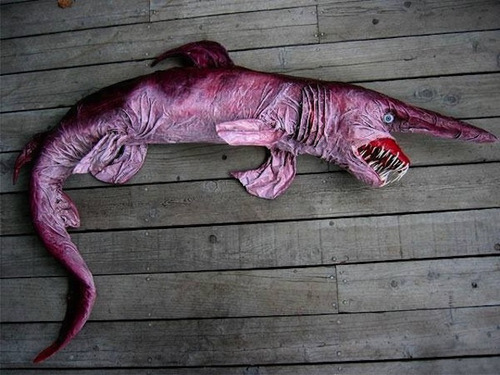 animalyoudontknow_wcth02.jpg