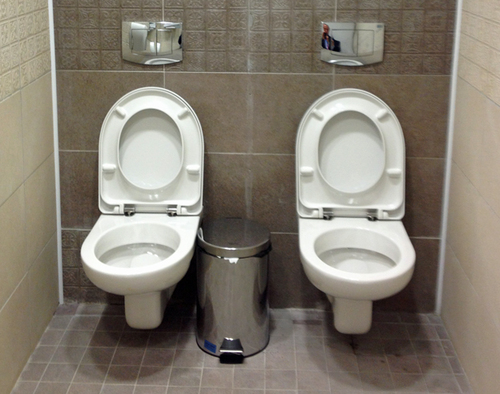 _72452231_seeing-double.jpg