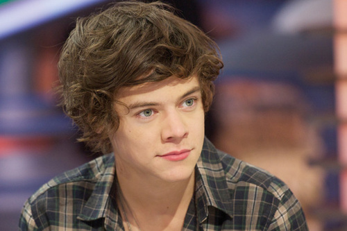 harry-styles-portrait.jpg
